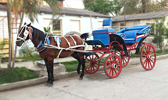 The famous carriage, symbol of the city